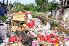 Miris! 3 Keluarga di Tangerang Hidup di Tengah Tumpukan Sampah yang Menggunung, Belatung Sampai Masuk Rumah