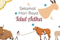 Panduan Memilih Hewan Kurban untuk Idul Adha 2025, Jangan sampai Salah!
