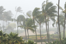 Imbas Bibit Siklon 93S, BMKG Catat 3 Wilayah Indonesia Berpotensi Hujan dan Gelombang Tinggi 