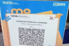 Mudahnya Bayar Obat di Instalasi Farmasi Dengan BRImo