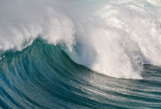Waspada Gelombang Tinggi Hingga 4 Meter Terjadi di Wilayah Ini, BMKG: Resiko Keselamatan Kapal Nelayan