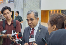 MPR Desak Pemerintah Tarik Pasukan TNI dari Lebanon Usai Tiga Prajurit Gugur