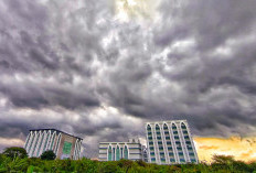 Siklon Tropis GRANT dan Siklon Tropis 96S Ancam Hujan Lebat hingga Gelombang Tinggi, Berikut Wilayah Terdampak