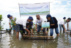 Garda Oto Tanam 1000 Pohon Donasi Pelanggan di KBA Pulau Pramuka