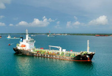 Jaga Pasokan Energi Nasional, Pertamina Patra Niaga Maksimalkan Kekuatan Logistik Laut