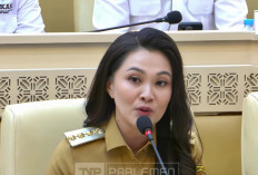 Rapat dengan DPR, Sherly Tjoanda Ngeluh Tak Bisa Bayar Gaji PPPK dan Honorer
