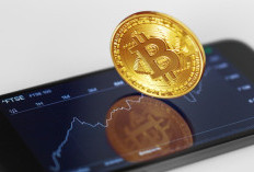 Berani Main Crypto Harus Tahu Caranya Hadapi Bear Market, Kondisi Nyaris Rugi