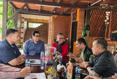 Tanpa Utang