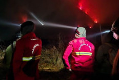 Kebakaran Hutan Bromo Belum Padam, Kemenhut Perkuat Operasi Terpadu