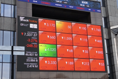 MSCI Konsultasi Penurunan Status Pasar Modal RI, Ini Respons BEI dan Dampaknya ke IHSG