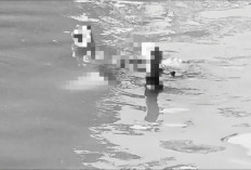 Geger! Jasad Pria 'Mr. X' Mengambang di Kali Ciliwung Tanjung Barat Jaksel, Polisi Selidiki