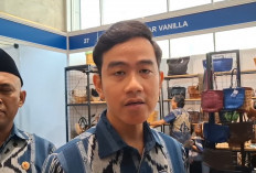 PDIP Minta KPU Buka Proses Verifikasi Dokumen Pendidikan Gibran, Singgung Putusan MK