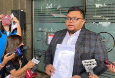 Indonesian American Lawyers Association Sampaikan Amicus Curiae ke MK