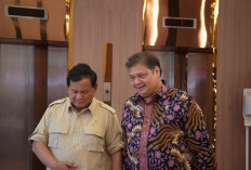 Delapan Persen