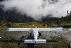 Pesawat PK-RCY Milik PT AMA Dibakar di Papua Pegunungan, Pilot Meninggal Dunia