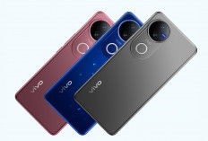 Cek Cicilan Kredit HP Vivo V50 12 Lengkap Pilihan Tenornya di Sini!