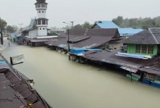 Banjir Banjar Baru Kalsel, Rumah di Desa Kelampayan Tinggal Atap, Warga Tidur di Perahu