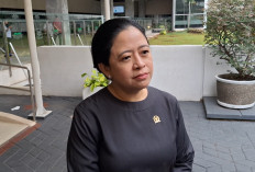 Puan Maharani Minta Dugaan Alih Fungsi Lahan Pascakarhutla Diselidiki