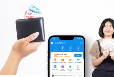 Cara Main Game Color Block untuk Dapat Saldo DANA Gratis hingga Rp213.000