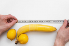 Penjelasan Ilmiah, Bentuk Penis Seseorang Bisa Berubah Seiring Bertambahnya Usia