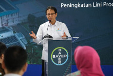 Menkes: Tiap Jam 3 Bayi Meninggal di Indonesia, Dua Jam Dua Ibu Wafat