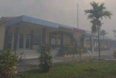 Kemenhub: 16 Bandara di Papua Terdampak Kabut Asap Karhutla
