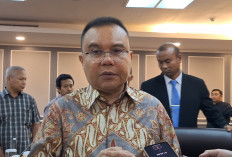 Dasco Ngaku Tak Tahu Isi Pertemuan Jokowi-Prabowo di Kertanegara: Saya Tidak Hadir