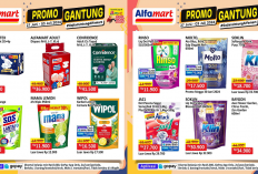 Katalog Promo JSM Alfamart 28-30 Juni 2024, Borong Sabun Cuci Piring Cuma Rp11 Ribuan
