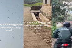 Viral Penampakan Ribuan Ulat Jati Gelantungan di Gunungkidul, Warga Pada Merinding Ketakutan