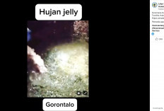 Viral Hujan Jeli di Gorontalo, Warga Bongkar Fakta Mengejutkan!