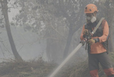Pemerintah Optimalkan Operasi Modifikasi Cuaca di Kalimantan, Armada Udara Ditambah 
