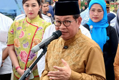 RPTRA Kalijodo Bakal Ditata Ulang Pramono, Bangun Fasilitas Olahraga Multiguna 