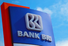 Segera Daftar! Bank BRI Buka Lowongan Kerja Buat Lulusan S1 hingga 15 Juni 2024