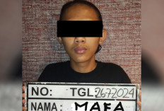 MAFA Pria Asal Bandung Dibekuk Polisi, Diduga Jual Video Porno Anak