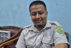 Heboh Isu Program Makan Bergizi Gratis Dihentikan, Begini Kondisi Aslinya di Lapangan