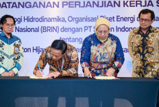 Dukung Percepatan Infrastruktur Kawasan Pesisir dan Laut, SIG-BRIN Kembangkan Beton Hijau Tahan Sulfat dan Klorida