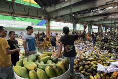 Si Jago Merah Lahap 350 Ruko di Pasar Induk Kramat Jati, Dirut Pasar Jaya: Aktivitas Tetap Normal