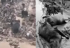 Mencekam! Aceh Tamiang Gelap Gulita Bak Kota Zombie, Warga Bertahan Hidup dari Genangan Banjir