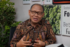 Pakar hukum lingkungan dorong penguatan aturan pengendalian karhutla