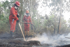 Titik Panas Karhutla Turun 56 Persen, Kalbar dan Kalteng Paling Signifikan