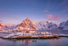 Denmark Jawab Ancaman Tarif Trump: Kami Berkomitmen untuk Menegakkan Kedaulatan Kami