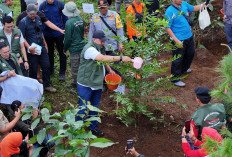 Rudy Susmanto Realisasikan 156,44 Hektare Hutan Kota dengan 45.152 Pohon Tertanam Dalam 4 Bulan