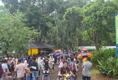 Senin Masuk Sekolah, Cerita Warga Serpong Padati Wisata Ragunan di Akhir Libur Lebaran