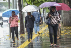 BMKG Prediksi Musim Hujan di Indonesia Mundur, Bertahap Mulai November