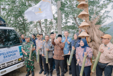 Pelepasan Ekspor Gula Aren Organik Desa Sejahtera Astra Temon Pacitan Capai 11 Ton