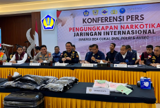 Terendus Bea Cukai China, Kargo dari Amerika Berisi Ganja 10 Kg Gagal Tiba di Bali