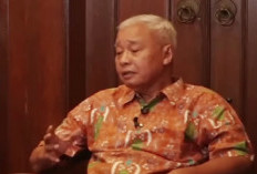 Eks Sekda Solo Kawan Lama Jokowi Blak-blakan Soal Masa Lalu 'Si Tukang Kayu': Jok, Kamu Itu Pedagang