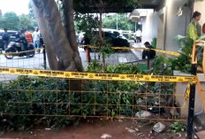 Terjun dari Lantai 15 Apartemen Gading Nias Kelapa Gading, Kepolisian: Jasad Pria Ditemukan Tewas di Taman Kecil 