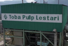 Ahli Keuangan Minta Kerugian Rp2 Triliun Kasus Toba Pulp Lestari Dibuktikan Lewat Audit BPK