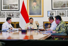 458 Hektare Bukit Soeharto Terbakar, Prabowo Perintahkan Zona Inti IKN Diamankan!